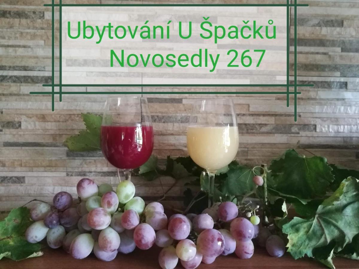 Ubytovani U Spacku Palava Novosedly  ภายนอก รูปภาพ